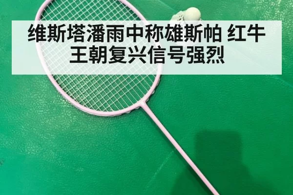 维斯塔潘雨中称雄斯帕 红牛王朝复兴信号强烈